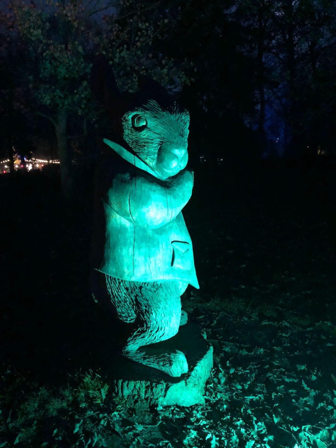 Sussex News Preview Opening tonight Hotham Park will be illuminated for magical Alice in Sussex News Preview Opening tonight Hotham Park will be illuminated for magical Alice in