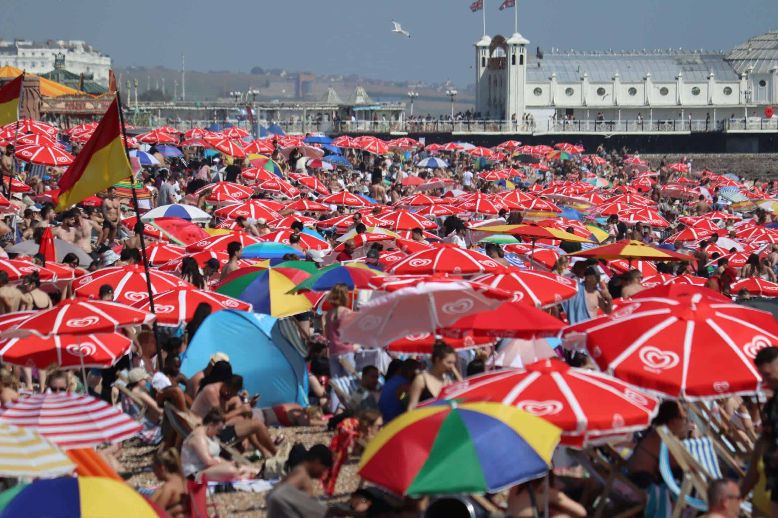 20230625151857 IMG 1830 scaled