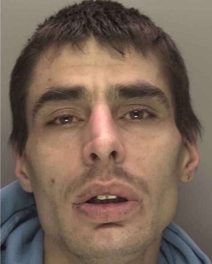 During the execution of a Misuse of Drugs Act warrant in Crawley, officers apprehended local drug dealer Liam Batchelor.