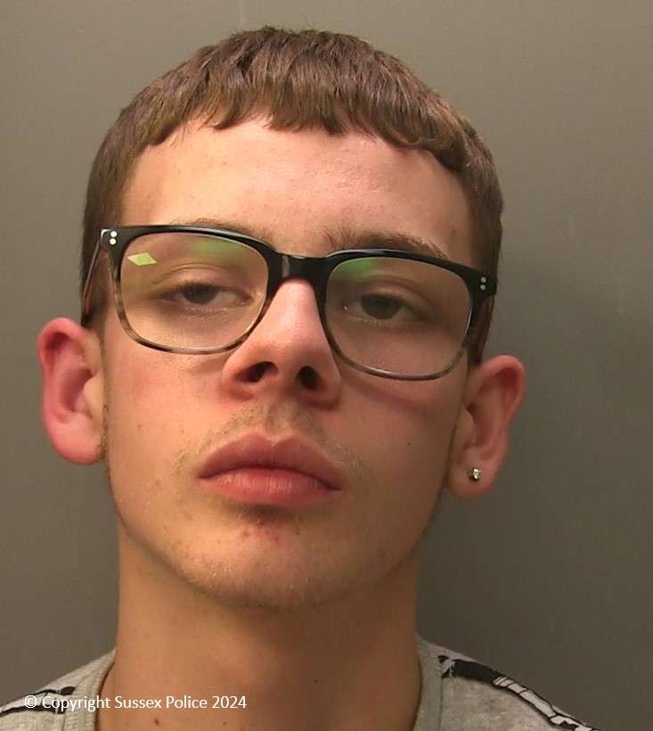 David Berbers, 21, of Byatt Walk in Richmond upon Thames,