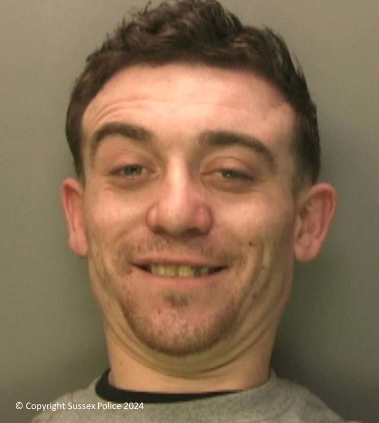 A man has been jailed following a 12-hour crime spree across West Sussex.