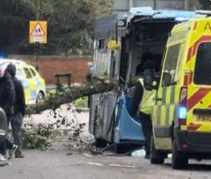 Six People Injured as Tree Hits Van and Bus in Horsham"