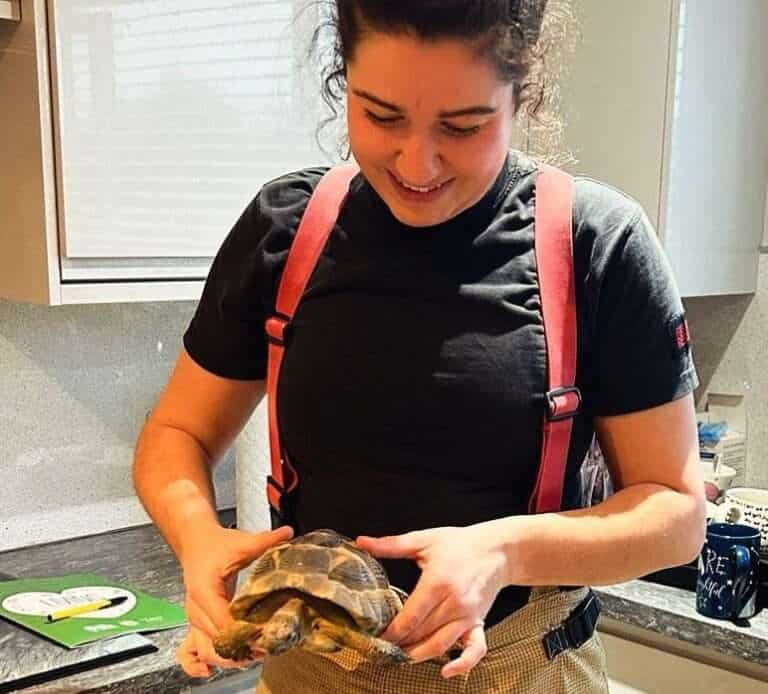 a small fire erupted in a home's reptile enclosure