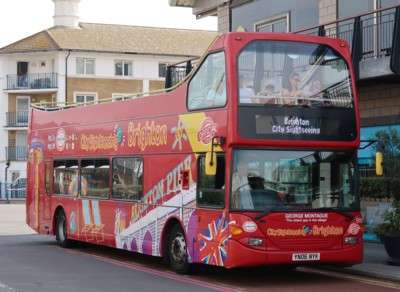 Council's Cost-Saving Plan Puts South Downs Buses at Risk