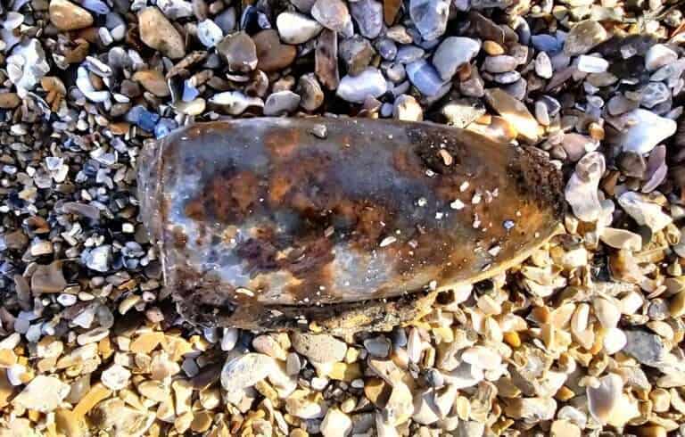 Coastguard Responds to Ordnance Discovery on Medmerry Beach