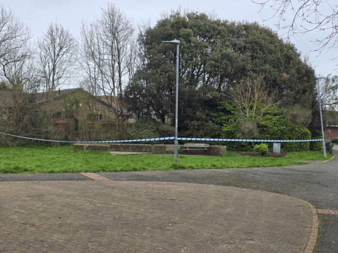 Police were called to Meridian Way in Peacehaven at around 11.40pm on Monday (18 March) after a teenage boy reported being raped by a man he had met online.