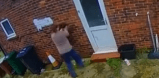 Man Faces Jail After Horrifying Incident of Throwing Dog Against Wall