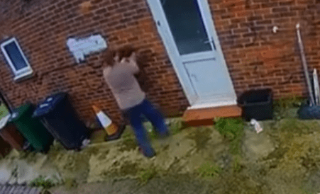 Man Faces Jail After Horrifying Incident of Throwing Dog Against Wall