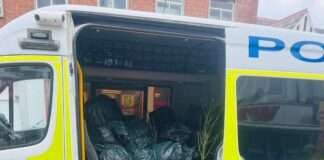 Suspected Cannabis Cultivation Site Uncovered in Portslade