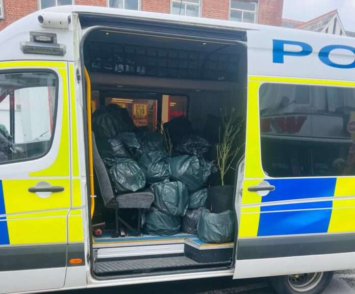 Suspected Cannabis Cultivation Site Uncovered in Portslade