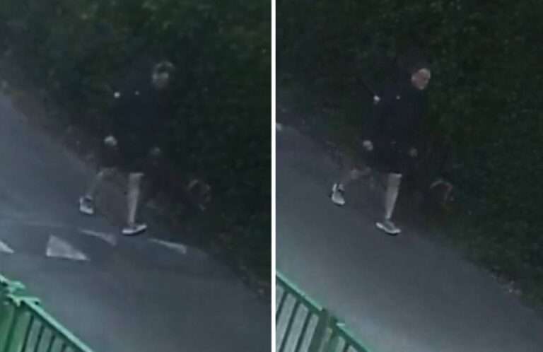 Images Released After Children Bitten by Dog at Eastbourne Beach