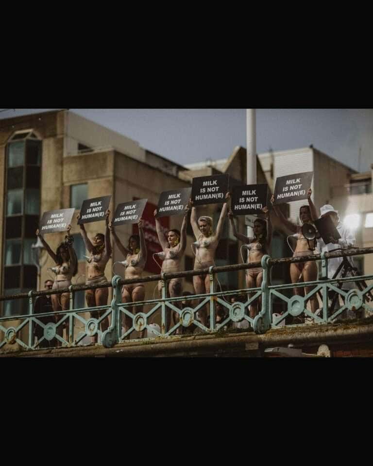 Brighton Hosts Anti-Dairy Protest on World Milk Day
