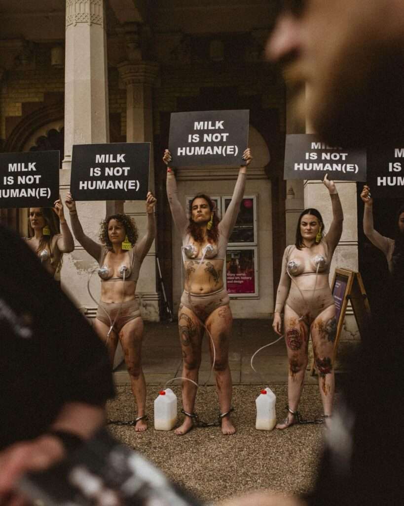Brighton Hosts Anti-Dairy Protest on World Milk Day