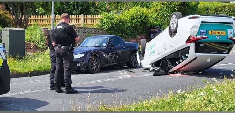 Brighton Taxi Flip