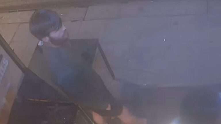 Police Investigate Brutal Assault on Woman in Hastings