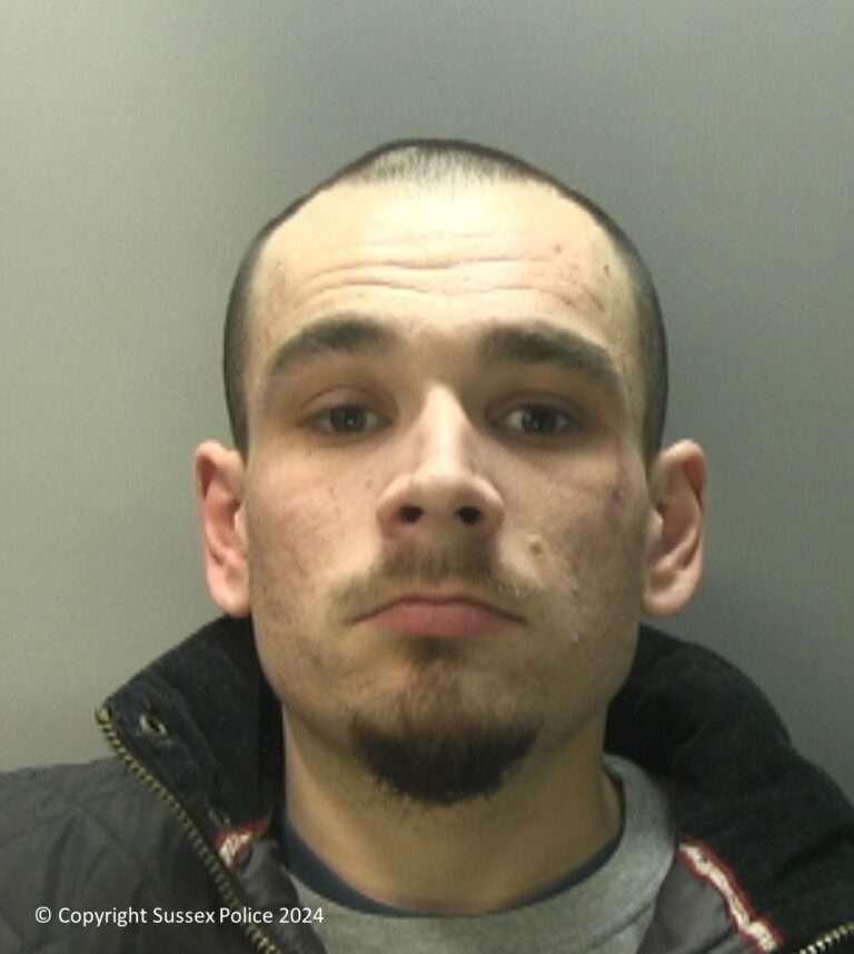 Alex Reynolds sentenced to nine years for two separate fires in Bexhill and St Leonards
