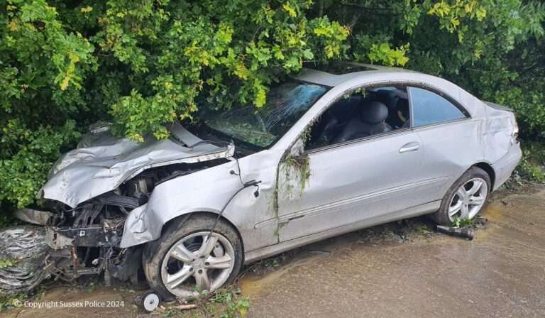 Dangerous driver sentenced over Uckfield collision