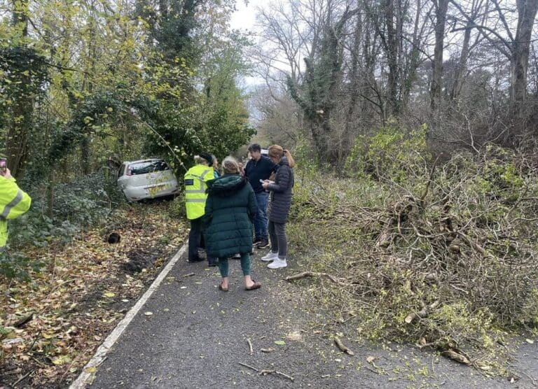Storm-Damaged Tree Crushes Test-Drive Car, Shocking Motorists on Five Oaks Road