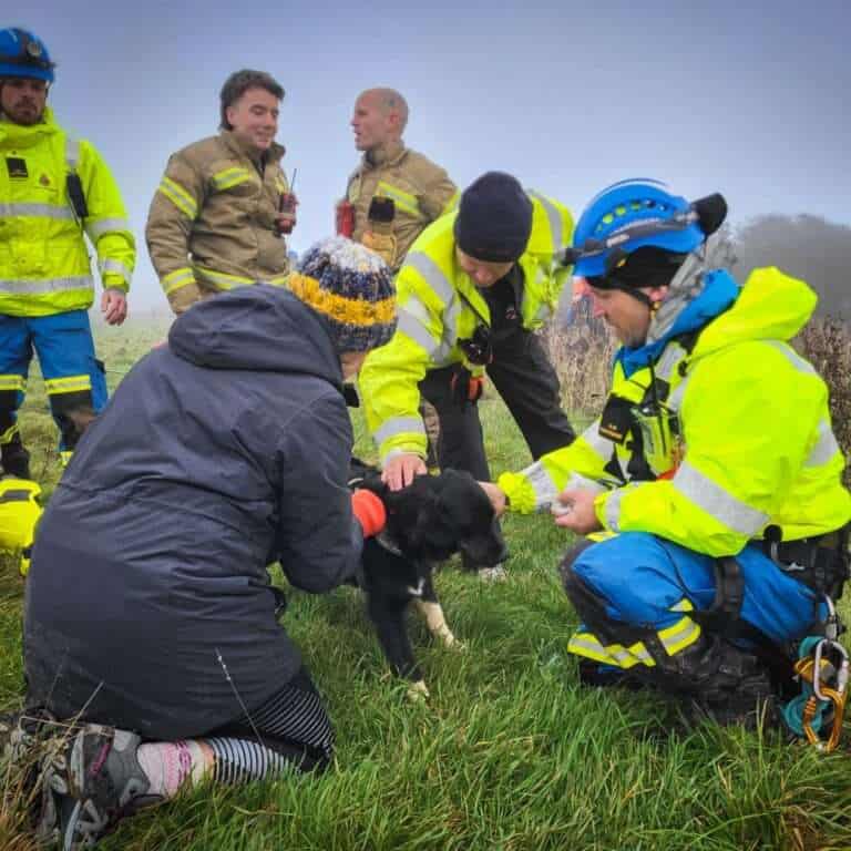 Emergency Services Save Dog Stuck on Hastings Cliff Edge