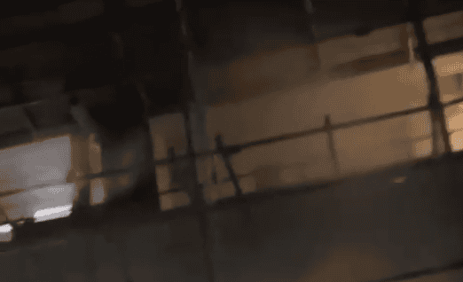 Emergency Services Respond to Fire in Selsfield Drive, Brighton