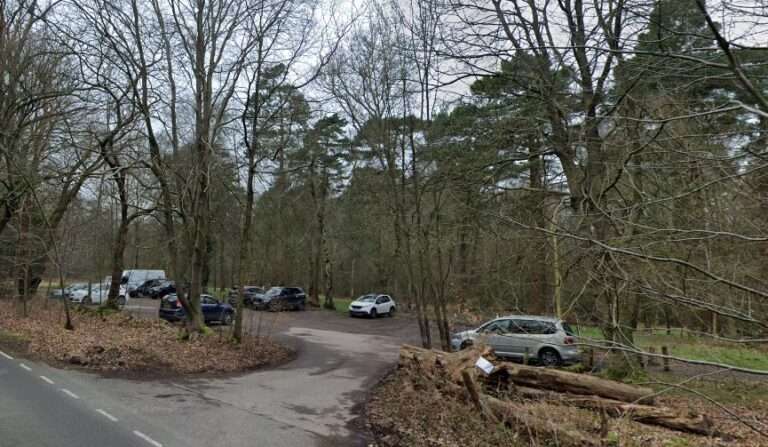 cowdray forest car park