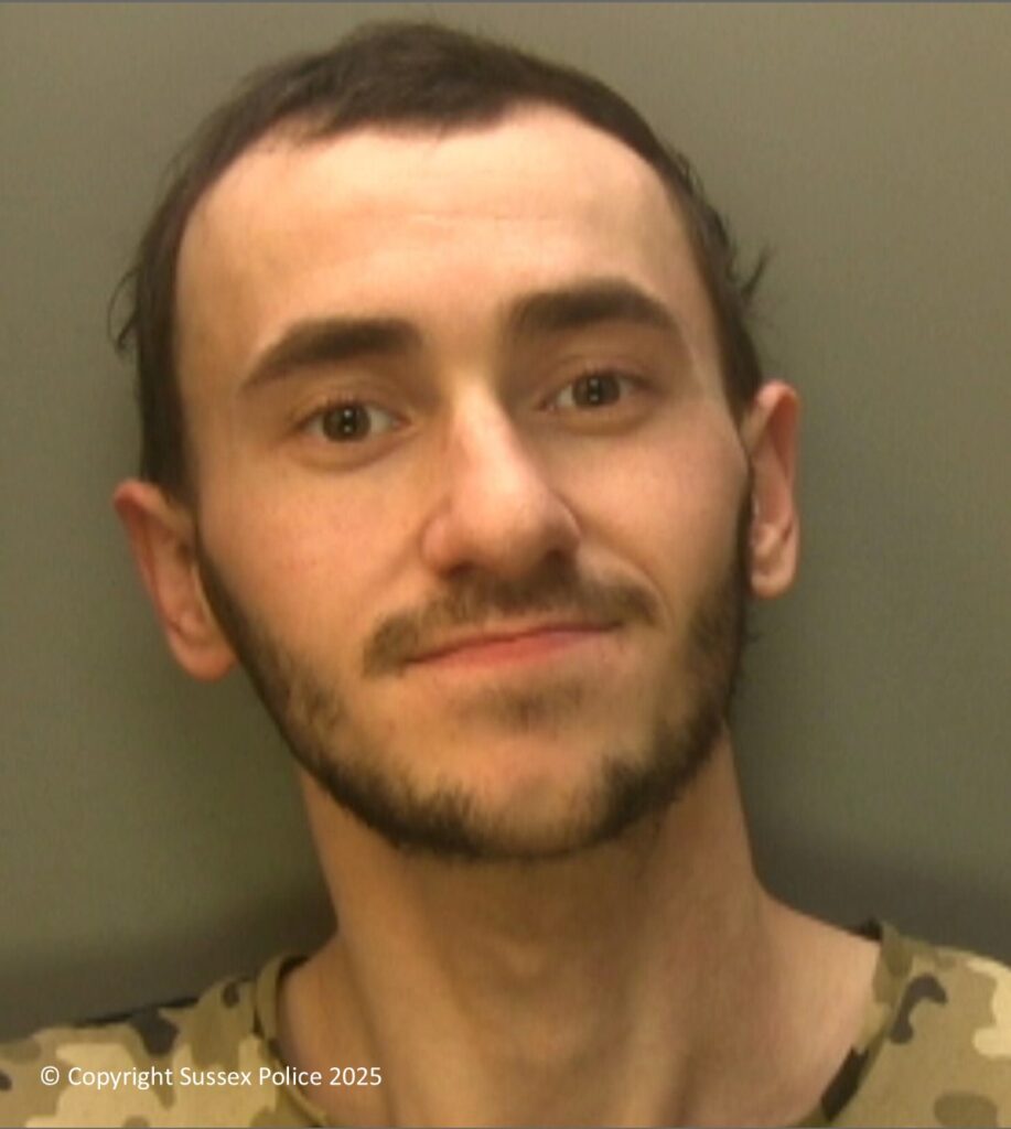  Brandon Lee, 28, jailed after hitting 100mph and crashing near Hassocks