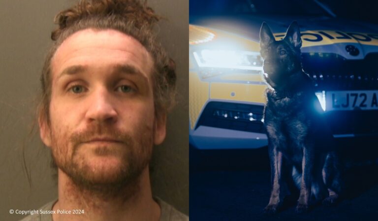 Man Jailed After Punching Police Dog During Arrest in Peacehaven