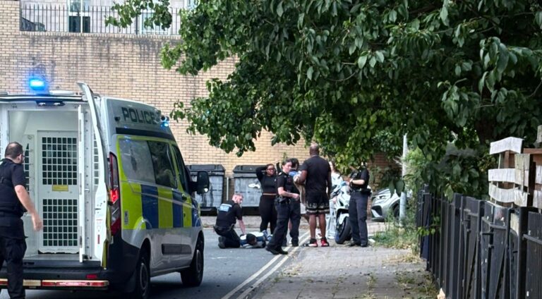 Police incident in Phoenix Rise, Brighton this evening.