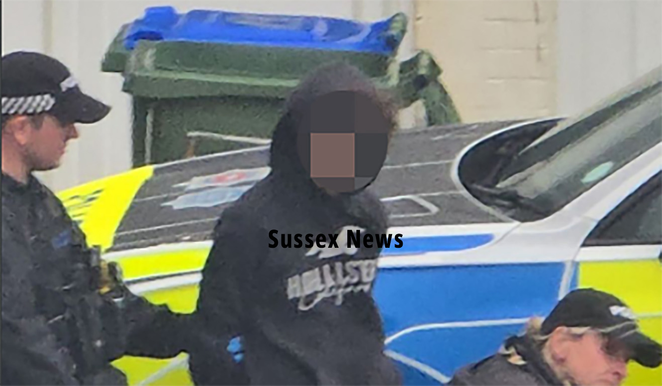 seafors stabbing1