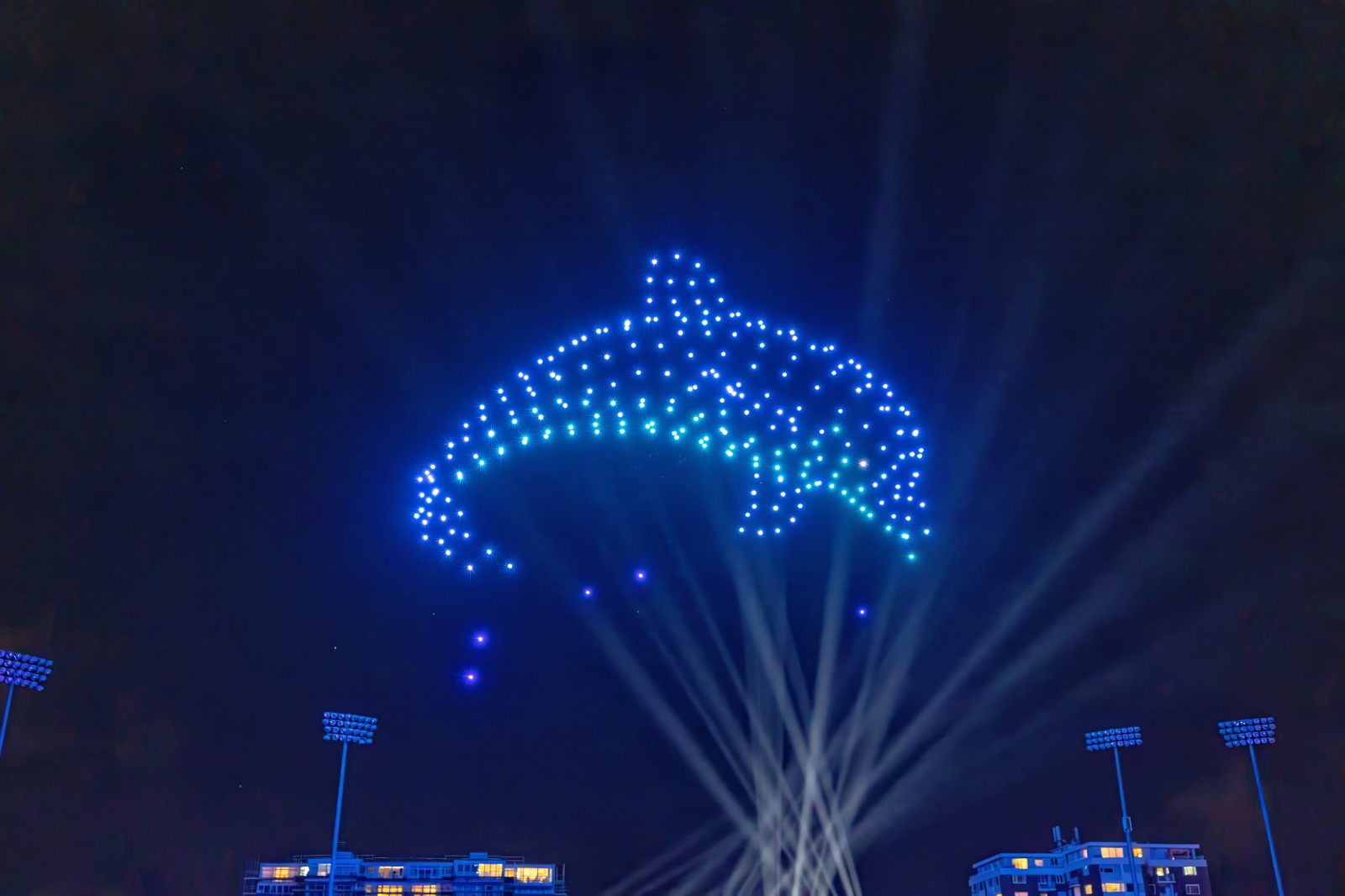 Review: Wild — The Drone Light Show at the County Cricket Ground 19 IMG 20251215 WA0003