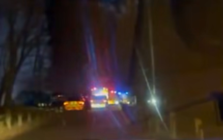 Brave Bystanders Enter Icy Water to Save Boy at Tilgate Park, Crawley