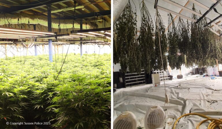 Cannabis Factory Raided in Eastbourne: Three Men Plead Guilty After Dramatic Rooftop Fall