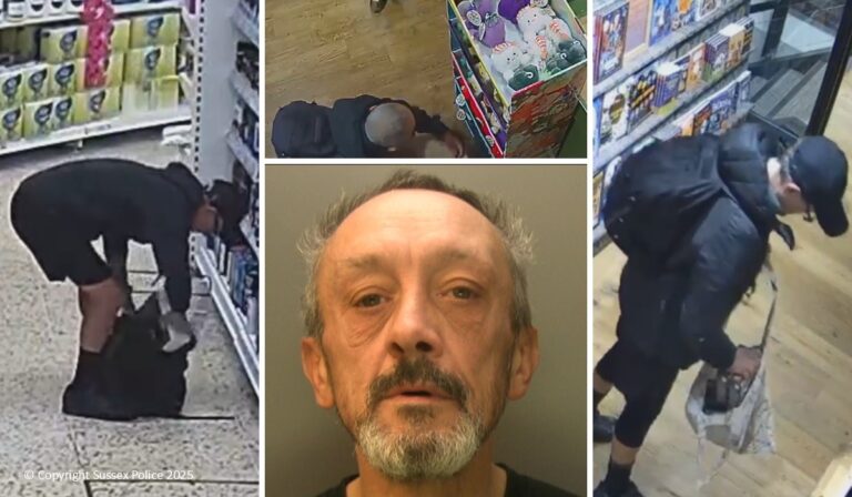 Serial shoplifter jailed after stealing electric toothbrushes and Jellycats