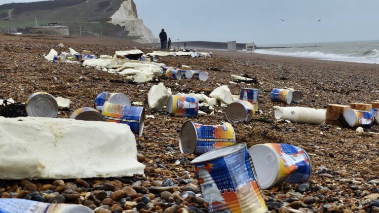 Damaged Shipping Container Washes Up on Seaford Beach After Storm