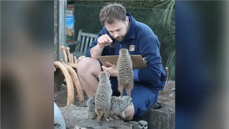 Zoo Carries Out Annual Animal Census 1 ea4759c0 e7ca 11f0 a951 db7efd6ff4fd.jpg